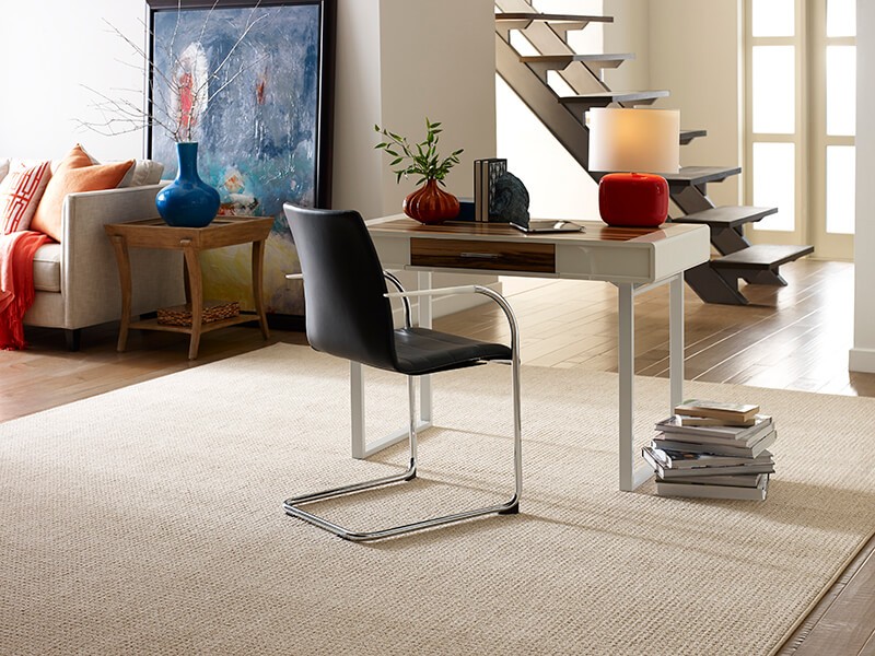 Area Rug | Flooring Express