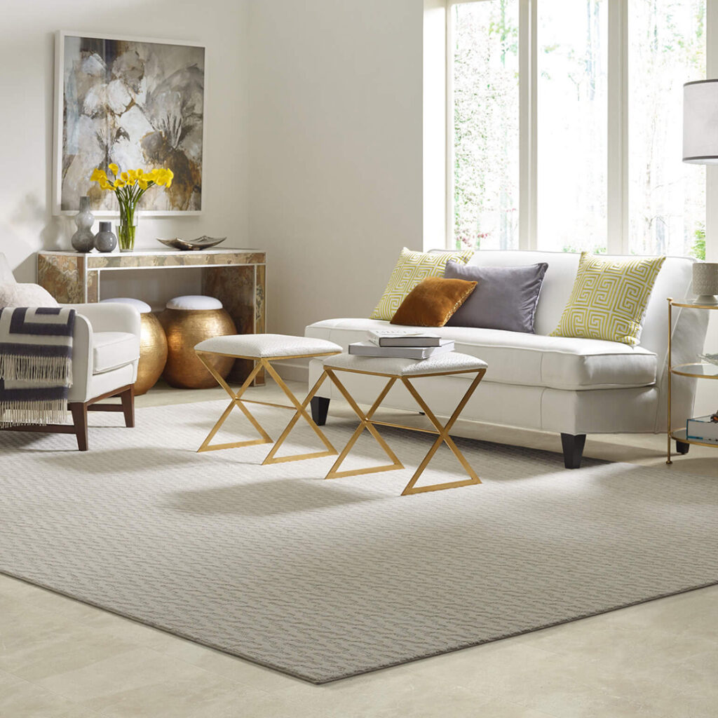Area Rug | Flooring Express