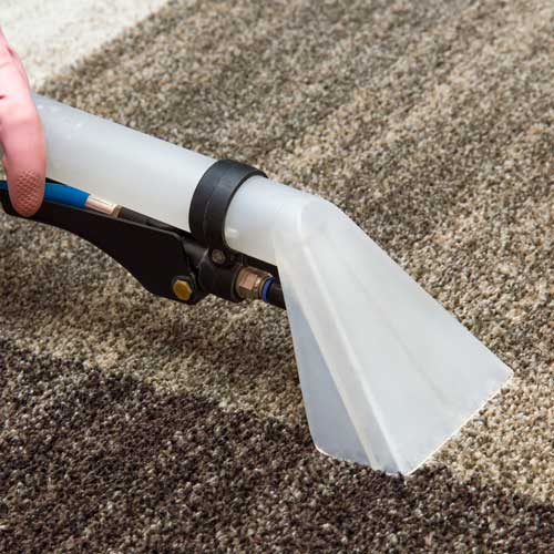 Carpet Cleaning | Flooring Express