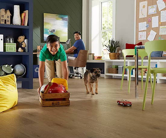 Safeguarding Floors from Pets | Flooring Express