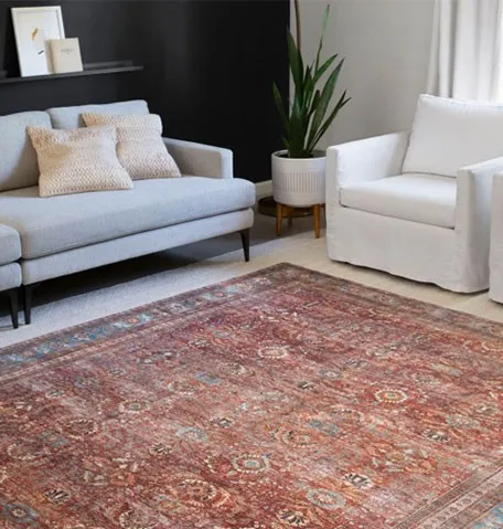area-rug-new